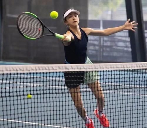 德甲积累了 德甲积累了